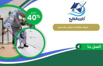 شركة مكافحة حشرات بالدمام
