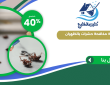 شركة مكافحة حشرات بالظهران