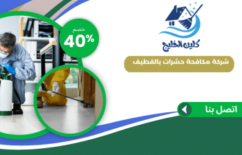 شركة مكافحة حشرات بالقطيف